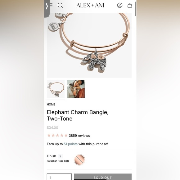 Alex + Ani Elephant Bangle Bracelet - Picture 1 of 3